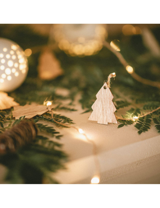 Guirlande LED Tirza de Noël à Piles 2.2m