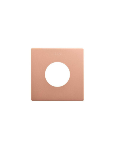 Cadre 1 Emplacement Esthétique Minimal pour Prise Schuko CLEAN SIMON 270 27110610