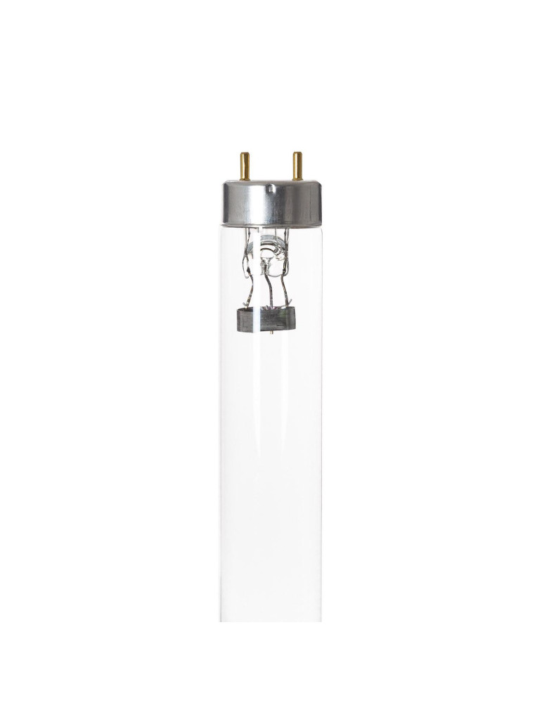 Tube T8 G13 UVC PHILIPS Ultraviolet 36W 120cm Désinfection