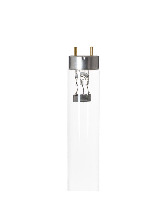 Tube T8 G13 UVC PHILIPS Ultraviolet 36W 120cm Désinfection