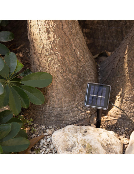 Guirlande LED Extérieure Solaire 30 Boules 5m