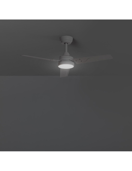 Ventilateur de plafond silencieux Extérieur Vacker 105cm Motor DC