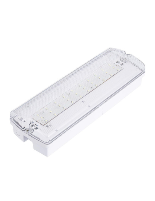 Balise de Secours LED En saillie 200lm Permanent/Non permanent IP65