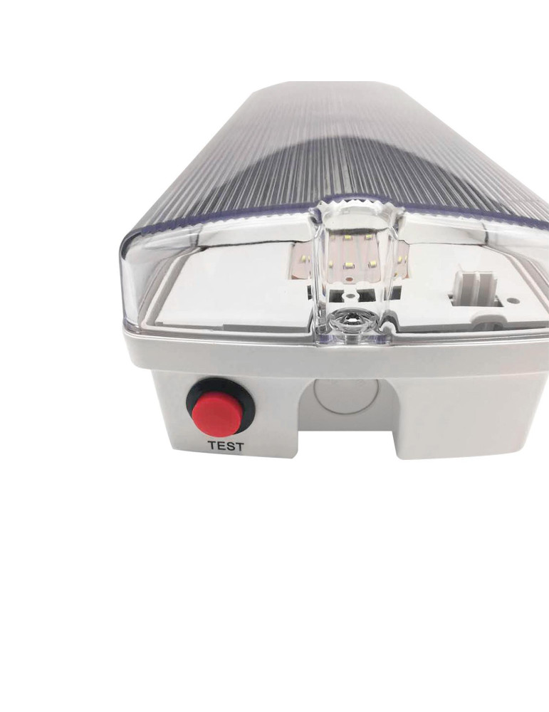 Balise de Secours LED 3W IP65 avec Autotest