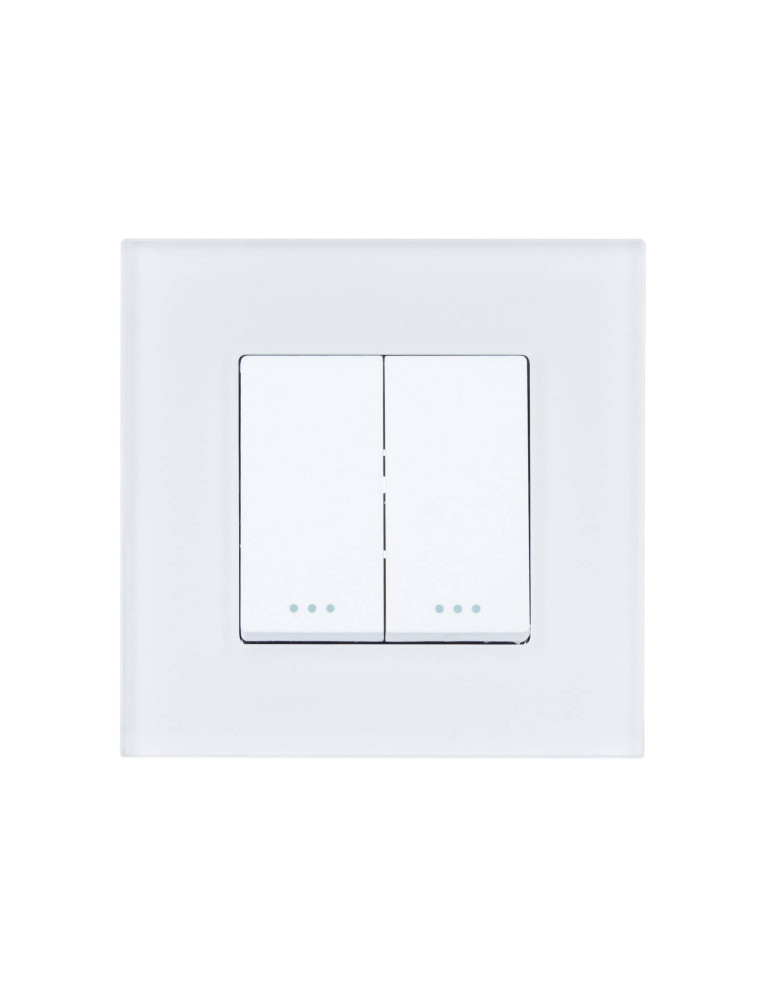 Interrupteur Double avec Plaque PC Modern Interrupteur Double avec Plaque PC Modern