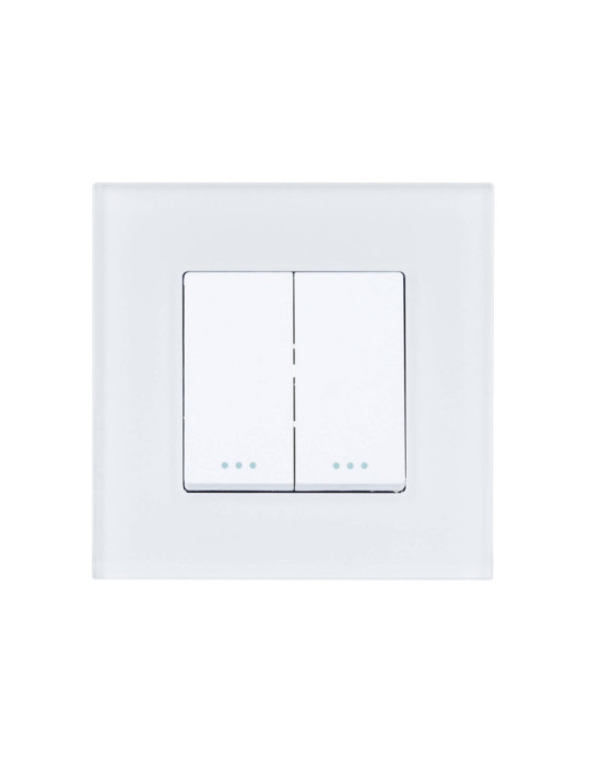 Interrupteur Double avec Plaque PC Modern Interrupteur Double avec Plaque PC Modern