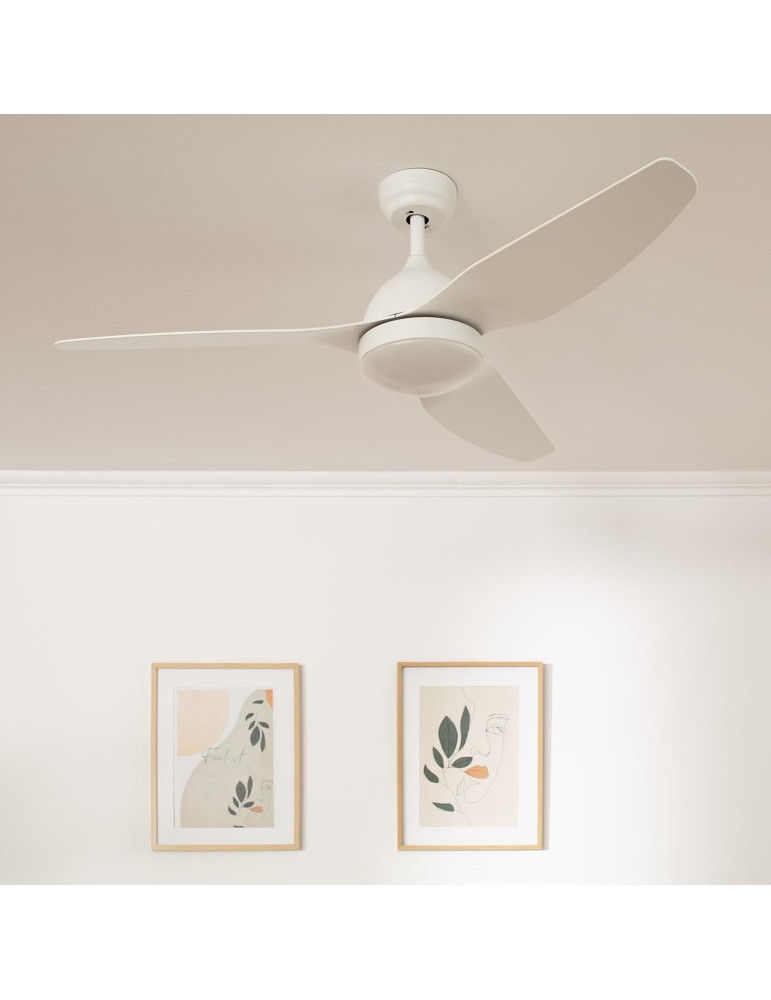 Ventilateur de Plafond Silencieux Woolworth Blanc 127cm Moteur DC
