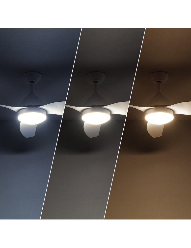 Ventilateur de Plafond Silencieux Woolworth Blanc 127cm Moteur DC