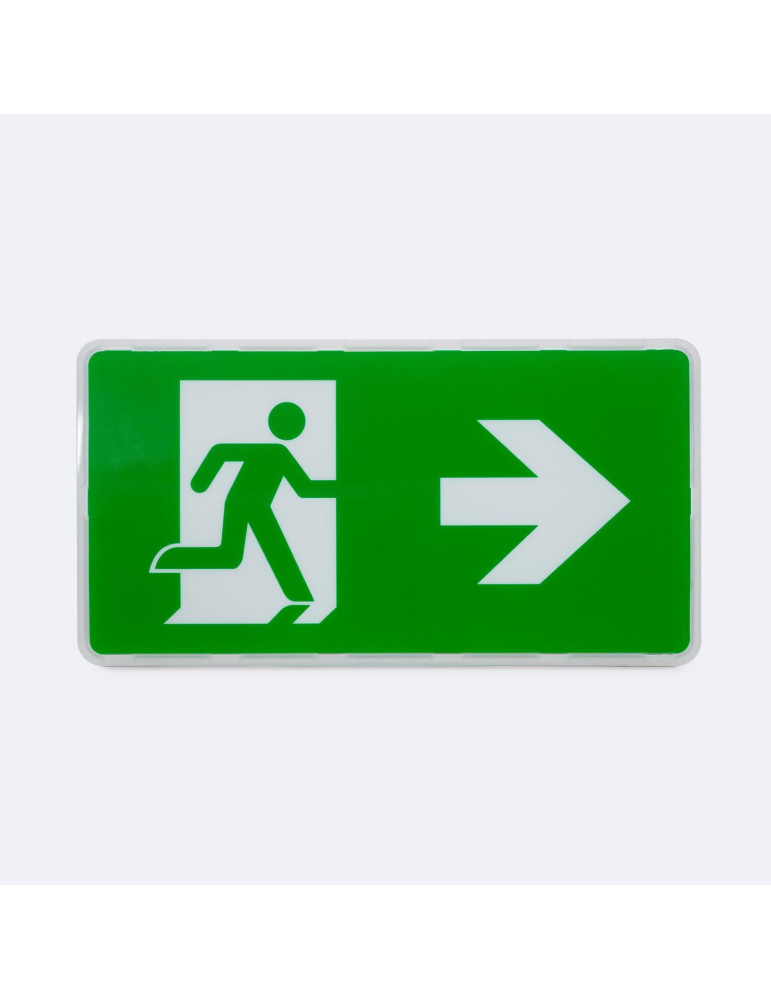 Éclairage de Secours LED Encastré/Saillie 130lm Permanent/Non Permanent avec Panneau IP65 Coupe 150x310 mm