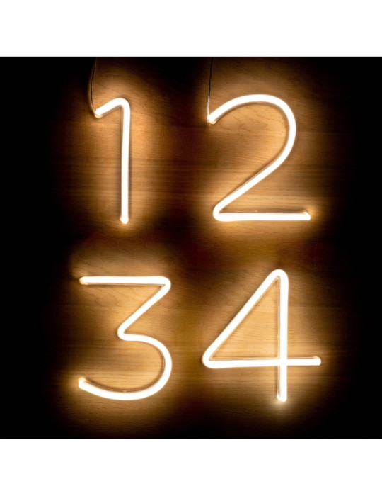 Numéros et Symboles Néons LED