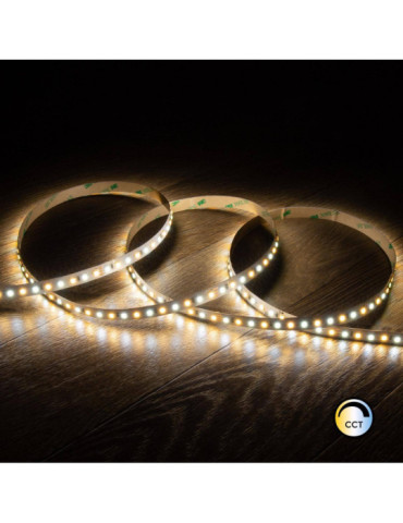 Ruban LED CCT 24V DC SMD 280 LED/m 5m IP20 CRI90 Largeur 10mm coupe tous les 5 cm