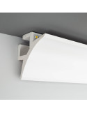Tubulaire LED Intégrées Claire Traversant 20W 2400LM 3000K 655 x Ø80mm