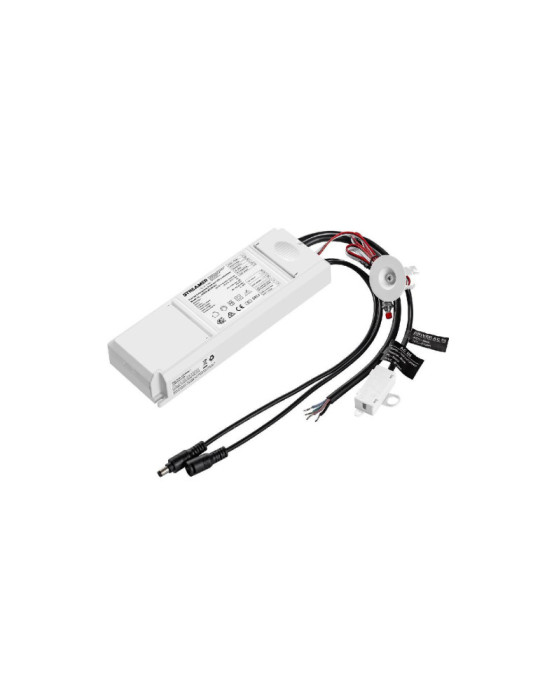 Driver de Secours pour Panneaux  LED Sortie 10-50V DC 3W avec Batterie