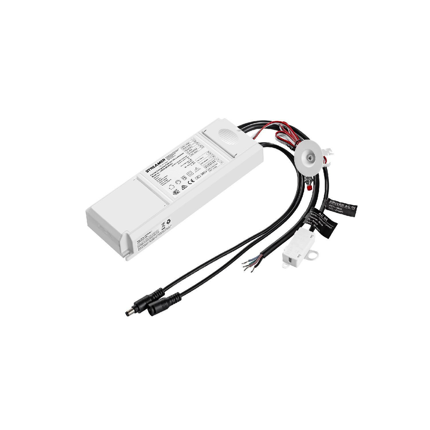 Driver de Secours pour Panneaux LED Sortie 10-50V DC 3W avec Batterie 3W