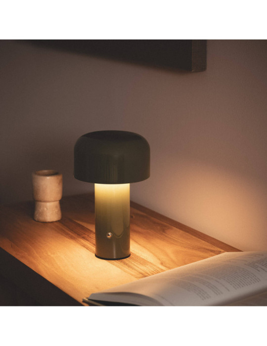 Lampe à Poser LED 2W Portable Métal avec Batterie USB Rechargeable Zaipi