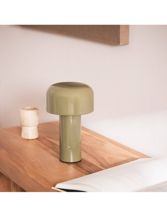 Lampe à Poser LED 2W Portable Métal avec Batterie USB Rechargeable Zaipi