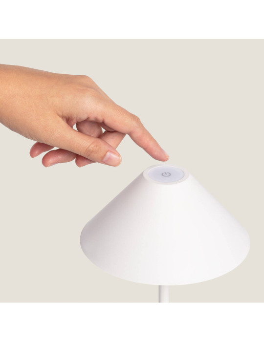 Lampe à Poser Métal LED 3W avec Batterie USB Rechargeable Chamle