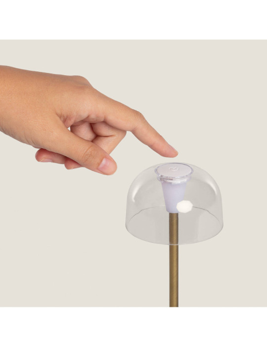 Lampe à Poser LED Portable Extérieur Métal avec Batterie Rechargeable Lendora