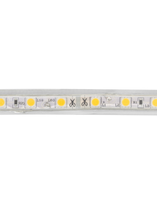 Ruban LED  220V AC 60LED/m Blanc Neutre IP65 sur Mesure Largeur 14mm Coupe tous les 100cm