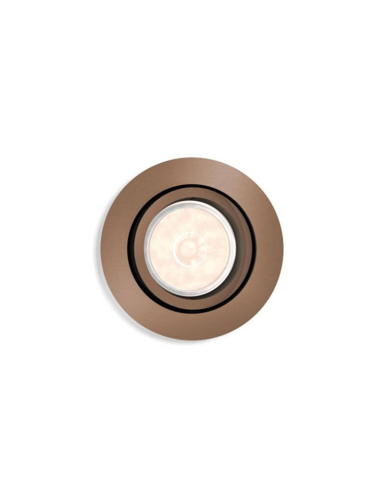 Spot Downlight PHILIPS Rond Donegal Coupe Ø 70mm