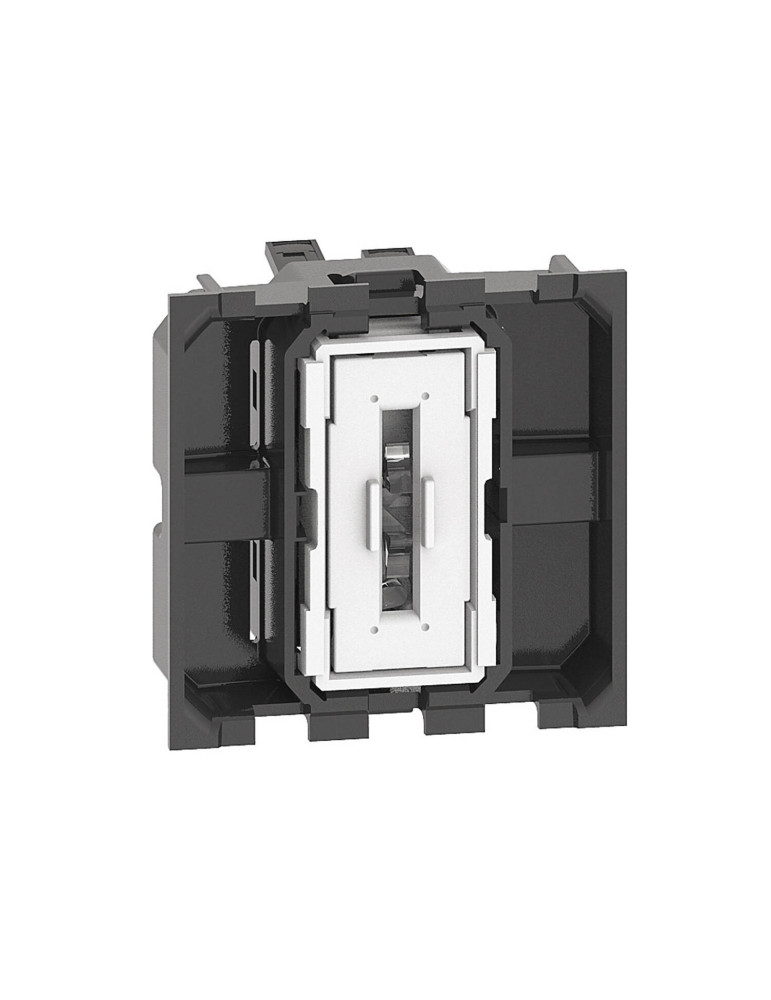 Interrupteur Simple 2 Modules 10 AX 250V AC BTicino Living Now K4001M2A