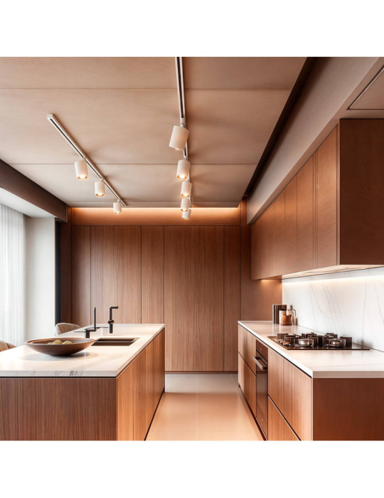 Spot LED sur Rail Triphasé 30W Fasano CCT Dimmable DALI Blanc