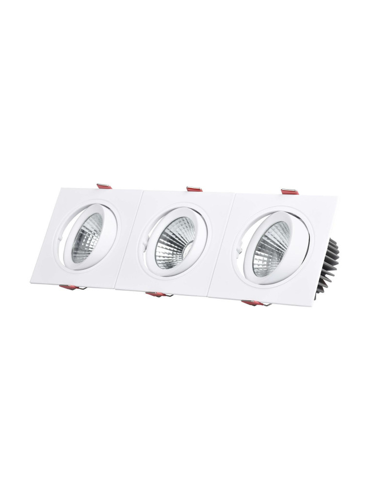 Spot Downlight LED 30W Rectangulaire Madison Coupe 315x95 mm