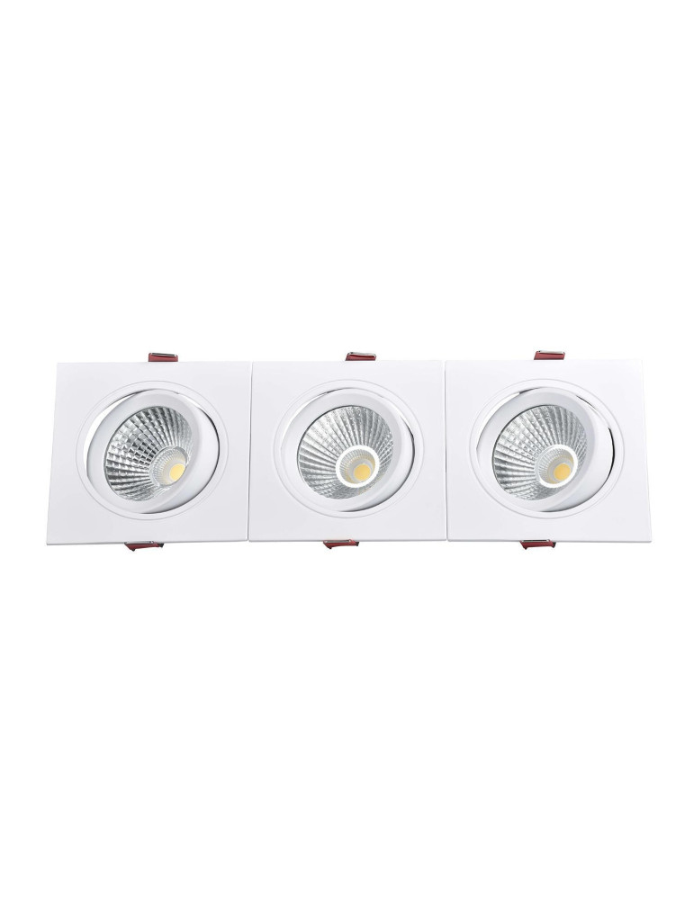 Spot Downlight LED 30W Rectangulaire Madison Coupe 315x95 mm