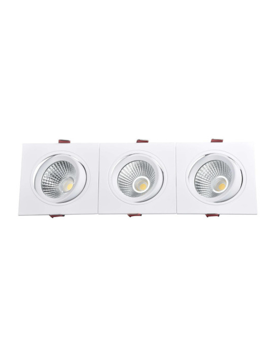 Spot Downlight LED 30W Rectangulaire Madison Coupe 315x95 mm