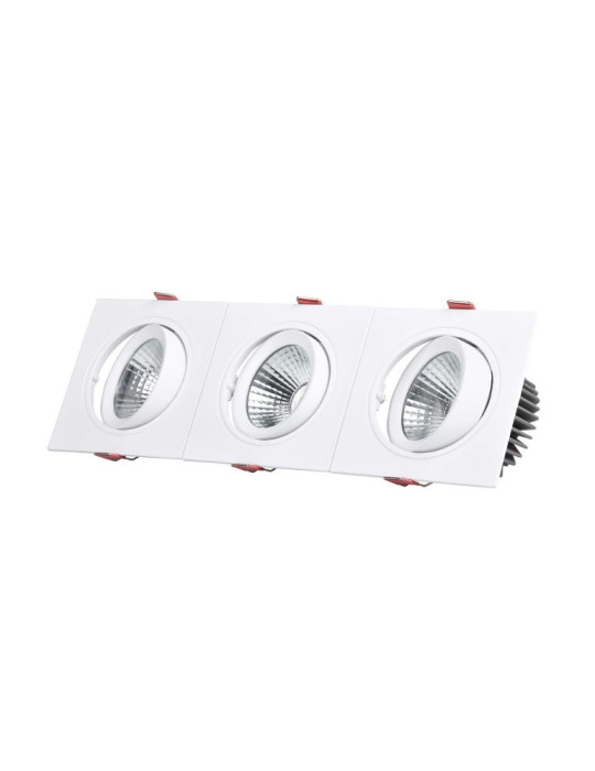 Spot Downlight LED 30W Rectangulaire Madison Coupe 315x95 mm