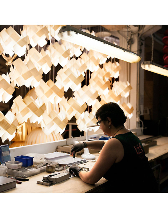 Suspension Bois Escape LZF