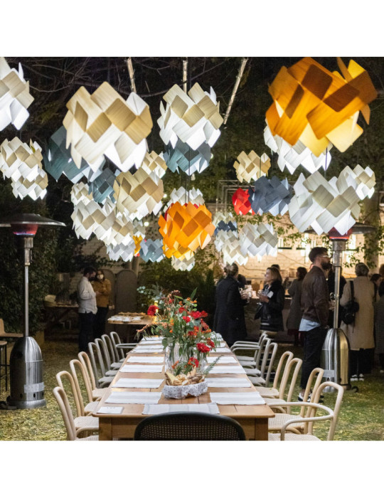 Suspension Bois Escape LZF