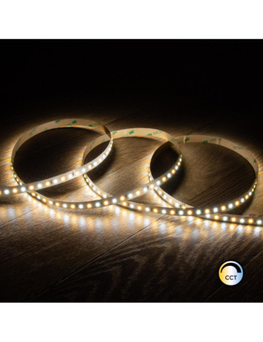 Ruban LED CCT 24V DC SMD2835 60LED/m 5m IP20 Largeur 10mm Coupe 5cm