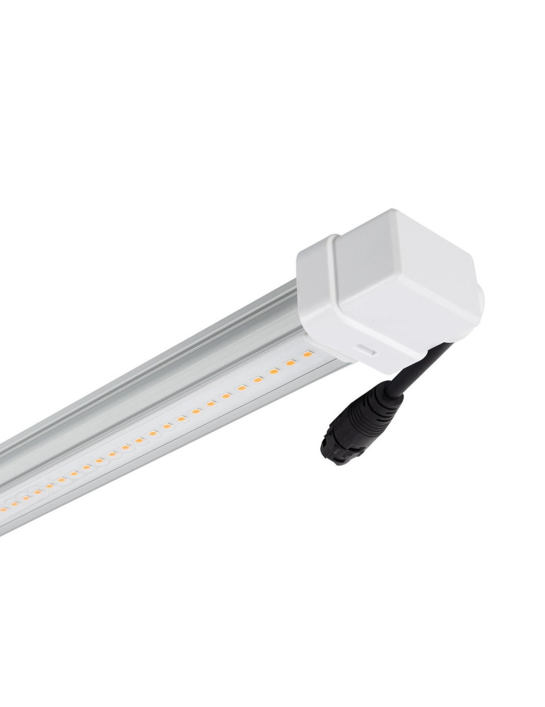 Tube LED T8 G13 60cm Grow 10W de Culture Batten