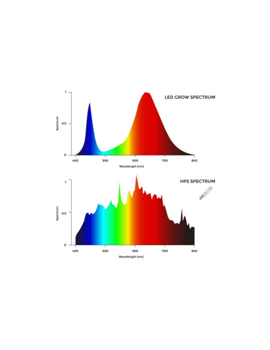 Tube LED T8 G13 60cm Grow 10W de Culture Batten