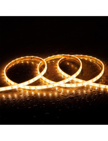 Ruban LED 12V DC SMD2835 60LED/m 5m IP68 Largeur 10mm Coupe 5cm