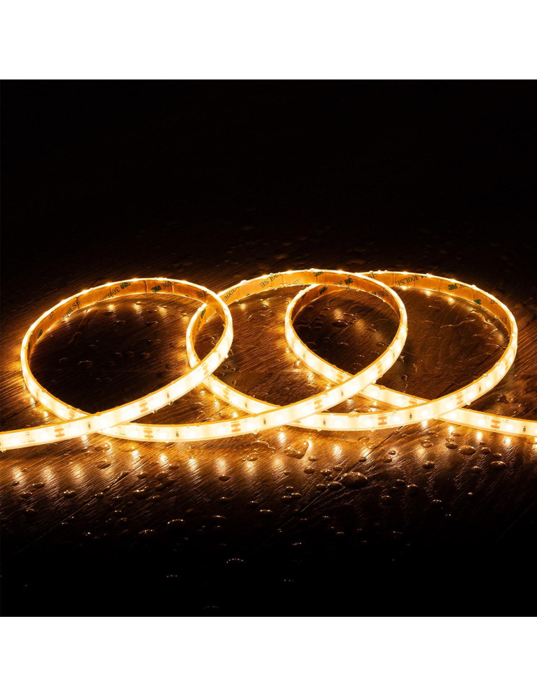 Ruban LED 12V DC SMD2835 60LED/m 5m IP68 Largeur 10mm Coupe 5cm