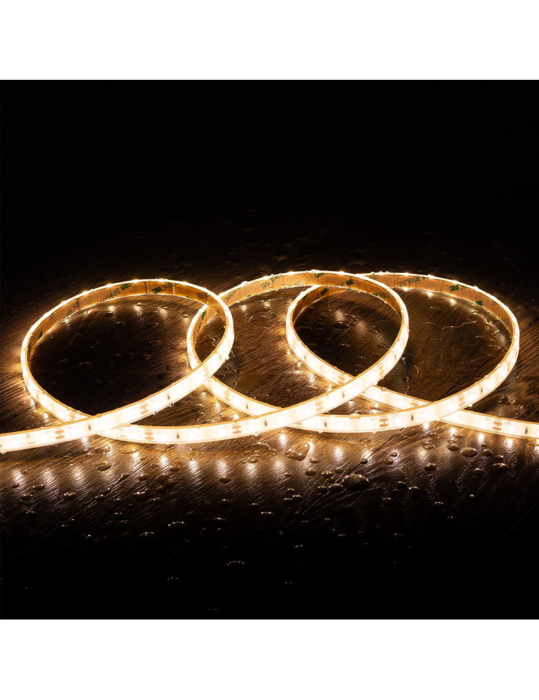 Ruban LED 12V DC SMD2835 60LED/m 5m IP68 Largeur 10mm Coupe 5cm