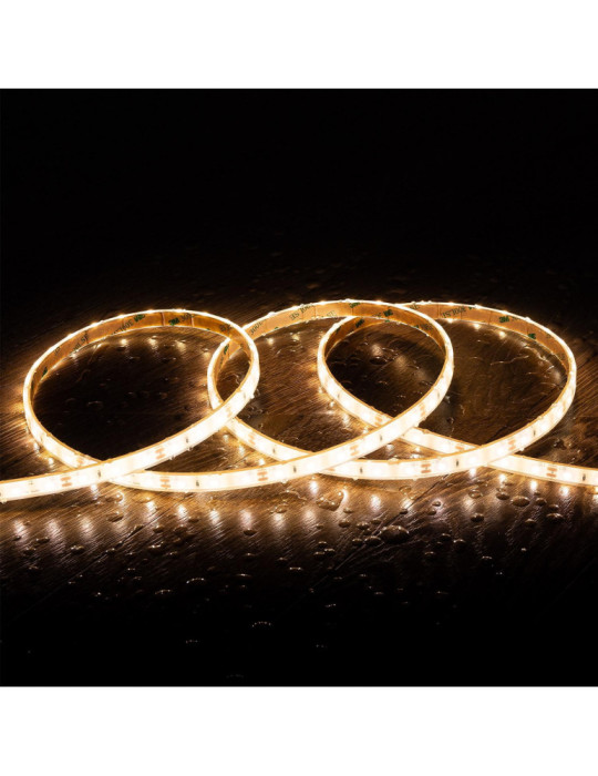 Ruban LED 12V DC SMD2835 60LED/m 5m IP68 Largeur 10mm Coupe 5cm