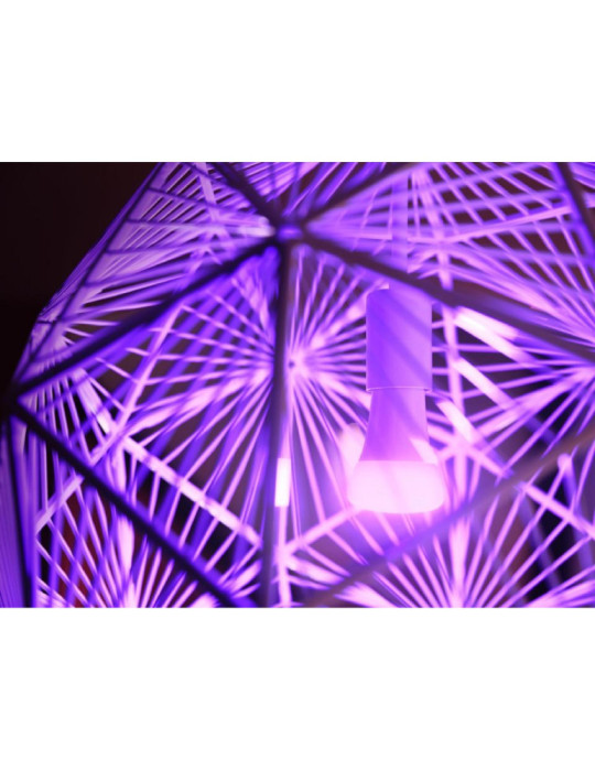 Kit Démarrage Ampoules LED Intelligentes E27 2x11W 1055 lm PHILIPS Hue White and Color