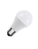 Ampoule LED 12/24V E27 8W 640 lm A60
