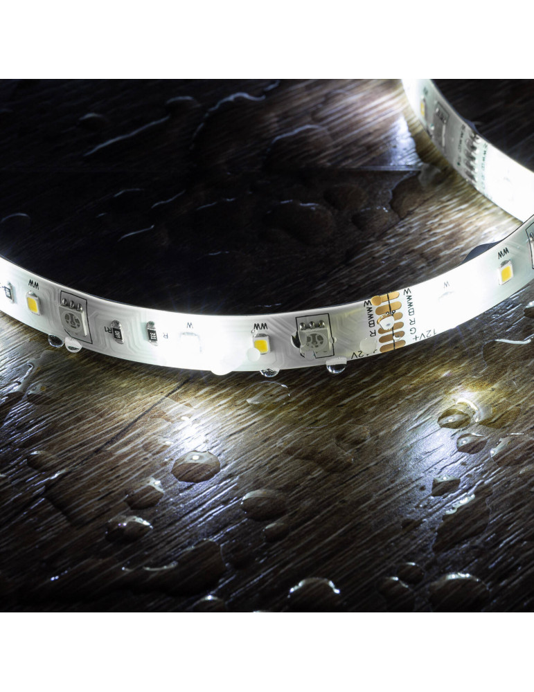 Kit Ruban LED WiFi 12V 72LED/m RGBWW 5m IP65 Coupe tous les 12.5cm