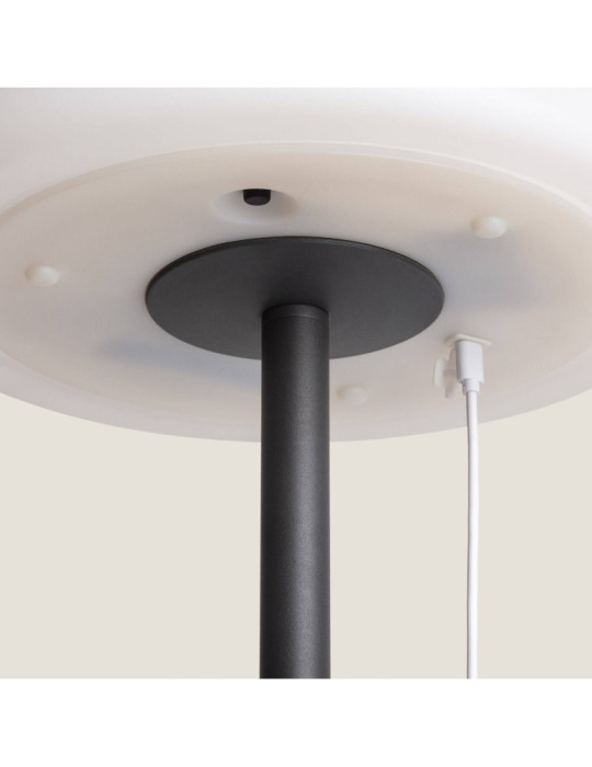 Lampadaire LED Extérieur Solaire Métal Larso