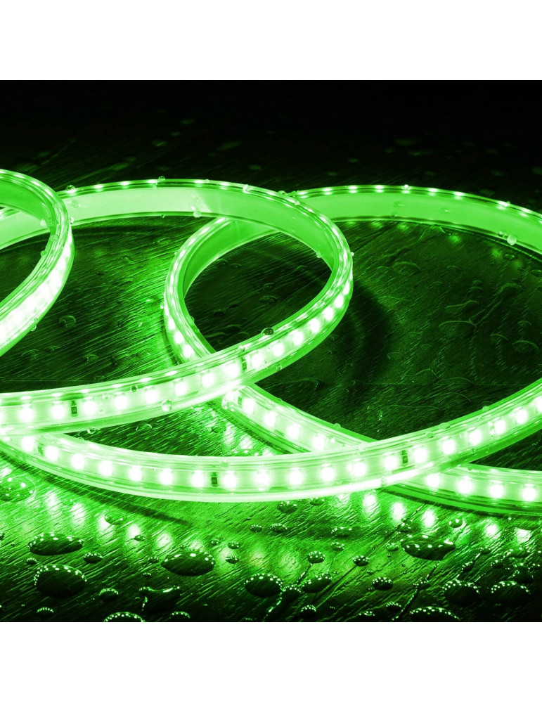 Ruban LED 220V SMD2835 120LED/m IP65 Largeur 12mm Coupe 20cm Monochrome