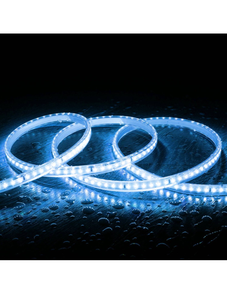 Ruban LED 220V SMD2835 120LED/m IP65 Largeur 12mm Coupe 20cm Monochrome