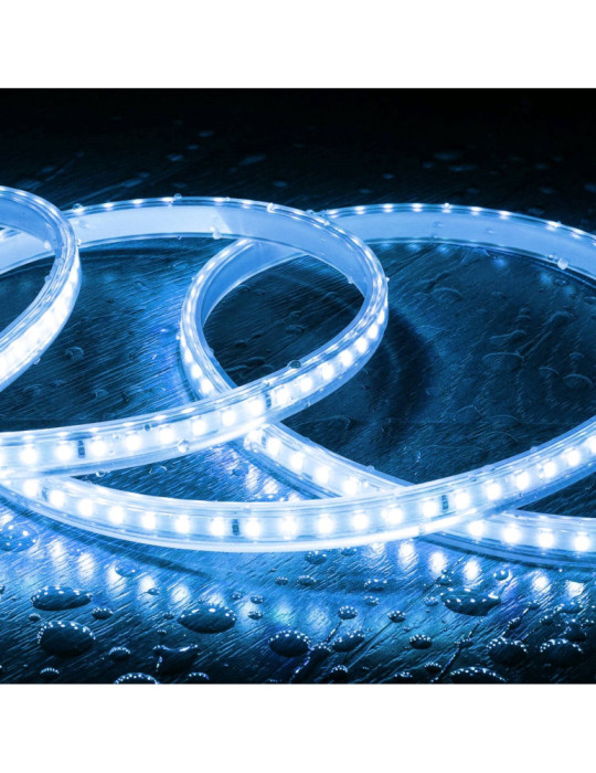 Ruban LED 220V SMD2835 120LED/m IP65 Largeur 12mm Coupe 20cm Monochrome