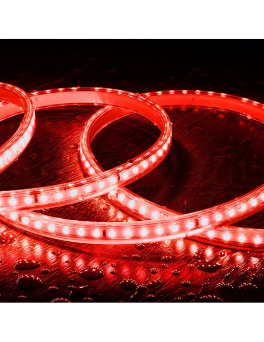 Ruban LED 220V SMD2835 120LED/m IP65 Largeur 12mm Coupe 20cm Monochrome