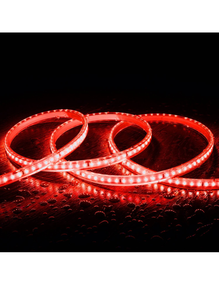 Ruban LED 220V SMD2835 120LED/m IP65 Largeur 12mm Coupe 20cm Monochrome