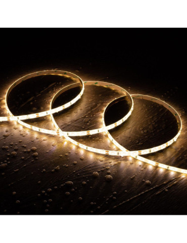 Ruban LED 12V DC SMD2835 60LED/m 5m IP65 Largeur 8mm Coupe tous les 5cm