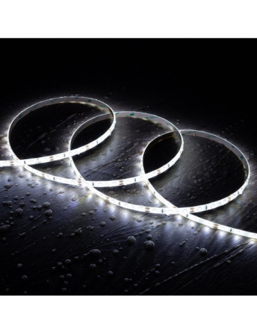 Ruban LED 12V DC SMD2835 60LED/m 5m IP65 Largeur 8mm Coupe tous les 5cm